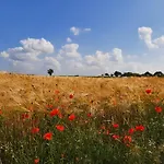 Ferienhaus Drie Beutenaken