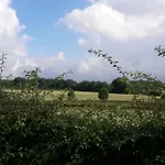 Ferienhaus Drie Beutenaken