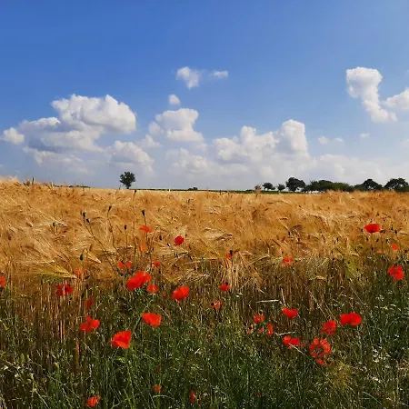 Feriehus Drie Beutenaken