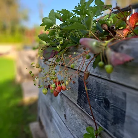 Drie Dom wakacyjny Beutenaken