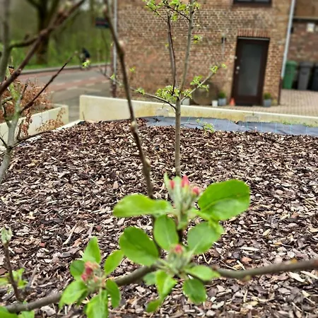 Hébergement de vacances Drie Beutenaken