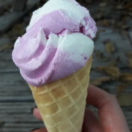 Hébergement de vacances Drie *