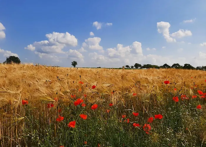 Vakantiehuis Drie Beutenaken