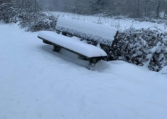 Holiday home Drie Beutenaken