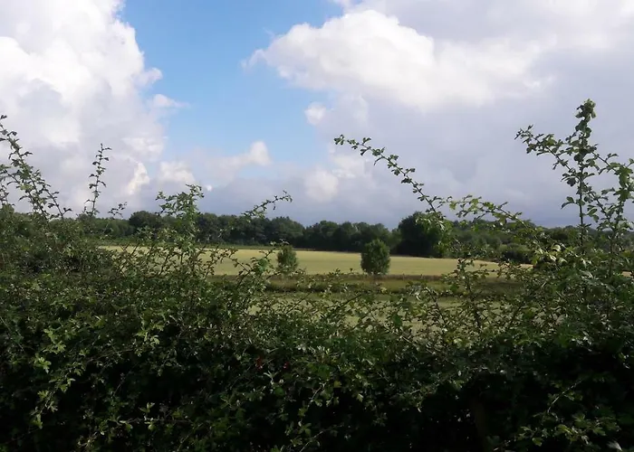 Holiday home Drie Beutenaken