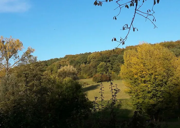 Drie Holiday home Beutenaken